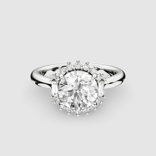 _main_image@SKU:HO0065-0235RA114W